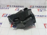 Корпус воздушного фильтра Renault Duster 165000974R