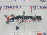 Проводка (коса) на форсунки Renault Duster 242593767R