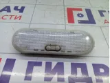 Плафон салонный Renault Duster 8200074362