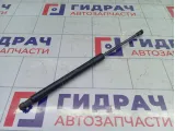Амортизатор крышки (двери) багажника Renault Duster 904520004R