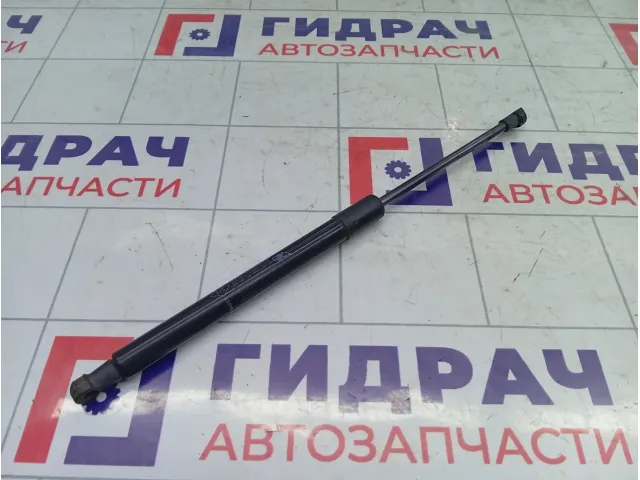 Амортизатор крышки (двери) багажника Renault Duster 904520004R