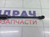 Амортизатор крышки (двери) багажника Renault Duster 904520004R