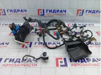 Проводка двигателя Renault Duster 240115653R
