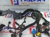 Проводка двигателя Renault Duster 240115653R
