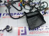 Проводка двигателя Renault Duster 240115653R