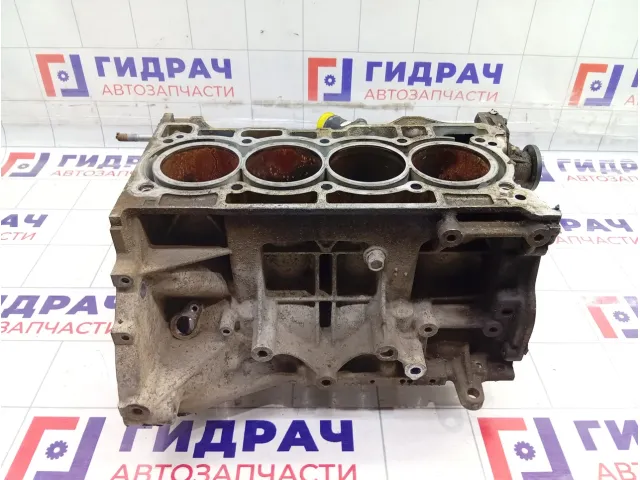 Блок цилиндров Renault Duster 100011476R