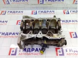 Блок цилиндров Renault Duster 100011476R