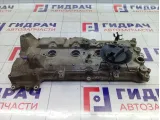 Крышка клапанная Renault Duster 132656341R