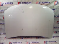 Капот Renault Duster 651000987R