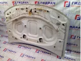 Капот Renault Duster 651000987R