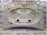 Капот Renault Duster 651000987R