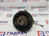 Кулак поворотный задний левый Renault Duster 430194050R