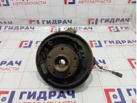 Кулак поворотный задний левый Renault Duster 430194050R