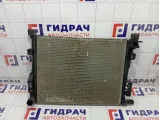 Радиатор основной Renault Duster 214106179R