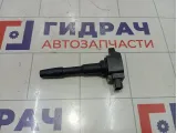 Катушка зажигания Renault Duster 224332428R