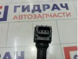 Катушка зажигания Renault Duster 224332428R