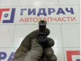 Форсунка инжекторная Renault Duster 166008992R