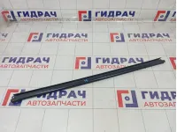 Уплотнитель стекла переднего правого Renault Duster 8200760255