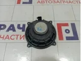 Динамик Renault Duster 8200309487