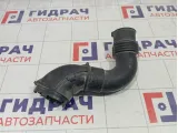 Патрубок воздушного фильтра Renault Duster 107157PS