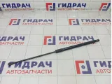 Амортизатор капота Renault Duster 654710944R