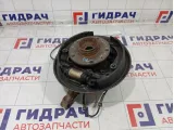 Кулак поворотный задний левый Renault Duster 430194050R