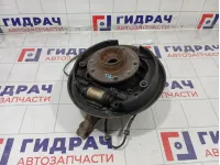 Кулак поворотный задний левый Renault Duster 430194050R