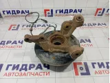 Кулак поворотный задний левый Renault Duster 430194050R