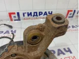 Кулак поворотный задний левый Renault Duster 430194050R