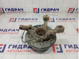 Кулак поворотный задний правый Renault Duster 430188668R