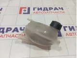 Бачок расширительный Renault Duster 217104354R