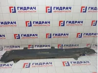 Защита антигравийная Renault Duster 462673904R