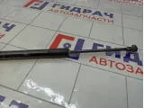 Амортизатор крышки (двери) багажника Renault Duster 904521364R