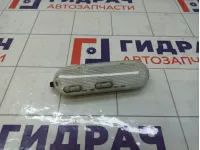 Плафон салонный Renault Duster 8200073231
