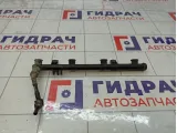 Топливная рампа (топливная рейка) Renault Duster 8200053030