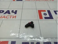 Форсунка инжекторная Renault Duster 166007733R