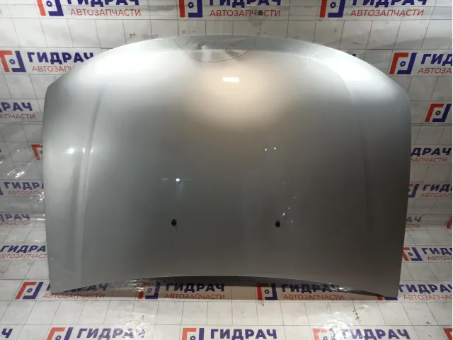 Капот Renault Duster 651000987R