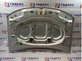 Капот Renault Duster 651000987R