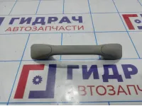 Ручка внутренняя потолочная Renault Duster (HS) 8200845691