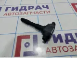 Катушка зажигания Renault Duster (HS) 224332428R