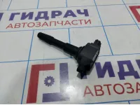 Катушка зажигания Renault Duster (HS) 224332428R