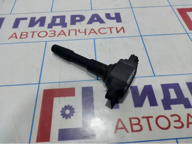 Катушка зажигания Renault Duster (HS) 224332428R