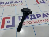 Катушка зажигания Renault Duster (HS) 224332428R