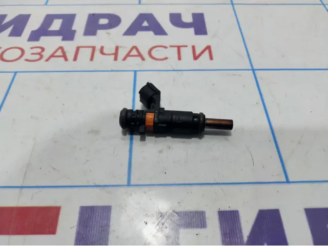 Форсунка инжекторная электрическая Renault Duster (HS) 166008992R