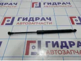 Амортизатор двери багажника Renault Duster (HS) 904521364R