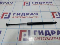 Амортизатор двери багажника Renault Duster (HS) 904521364R