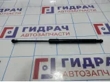 Амортизатор двери багажника Renault Duster (HS) 904521364R