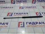 Амортизатор капота Renault Duster (HS) 654710944R