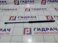 Амортизатор капота Renault Duster (HS) 654710944R