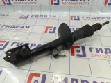 Амортизатор передний Renault Duster (HS) 5430300Q0L